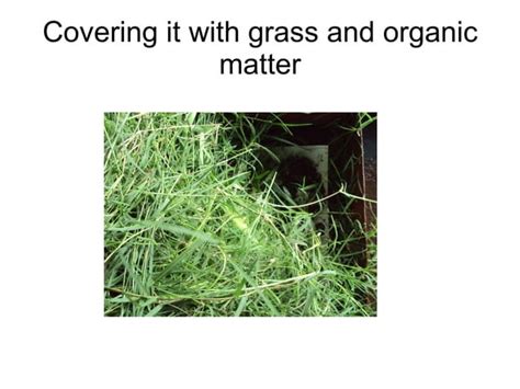 Image result for Images of Sheet Composting Method