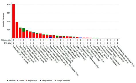 CCNE1 Amplification as a Predictive Biomarker of Chemotherapy ...