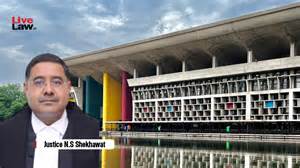 Gross Misconduct Of Police: Punjab & Haryana High Court Flags Negligent ...