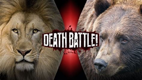 Grizzly Bear Fighting A Lion
