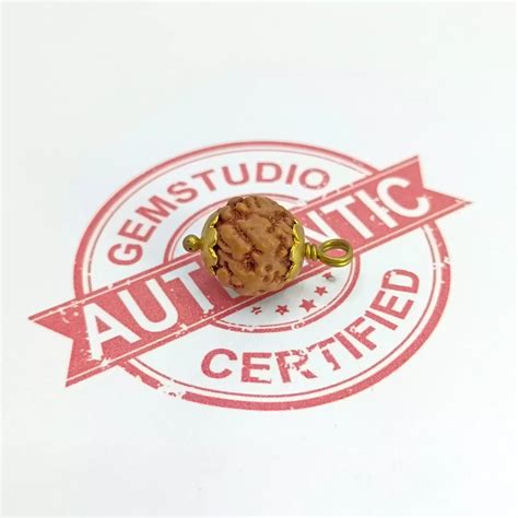 Nirakar Rudraksha Indonesia - Shiva's Blessing - Pandit.com