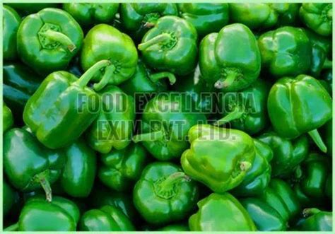 Fresh Green Capsicum Exporter, Supplier from Jaora