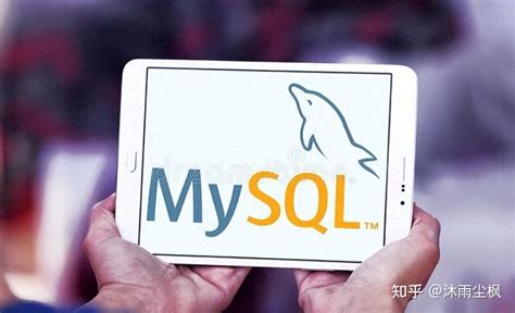 jQuery MySQL 的图像结果
