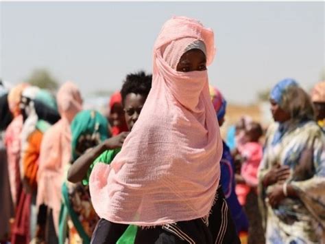 "Siege in Sudan's El Fasher leaves 782 dead, over 1,143 injured," says ...