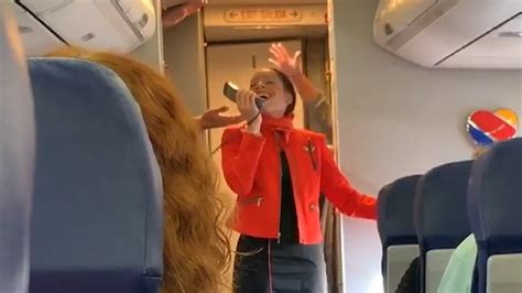 Southwest Airlines Flight Attendant