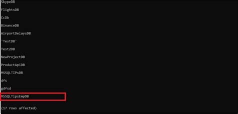 Bat-File SQL Server Sqlcmd 的图像结果