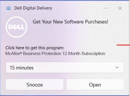 How to Install McAfee Business Protection | Dell India