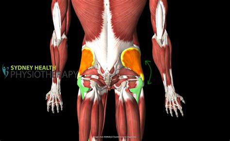 Bouncing Ball Using Glut 的图像结果