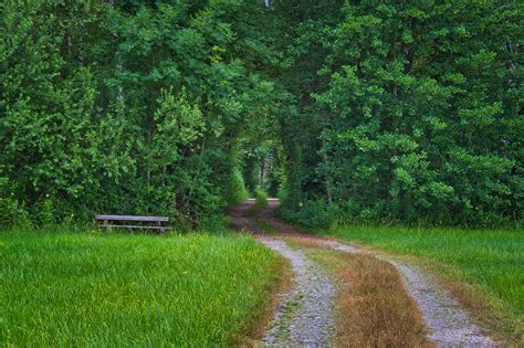 Road Path 的图像结果