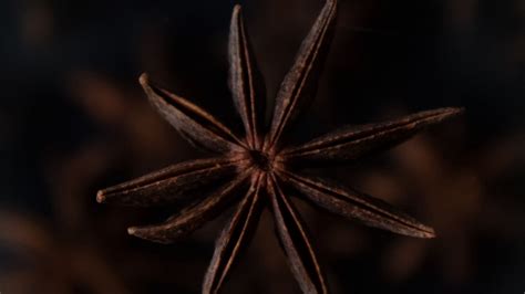 Download wallpaper 2560x1440 cinnamon, spice, macro, brown, focus ...