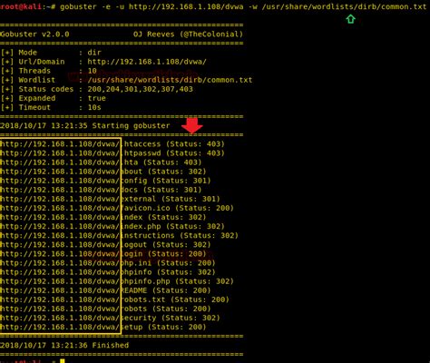 Comprehensive Guide on Gobuster Tool