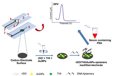 Current Perspectives in Graphene Oxide-Based Electrochemical Biosensors ...