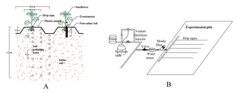 Image result for Fertigation System Schematic Diagram