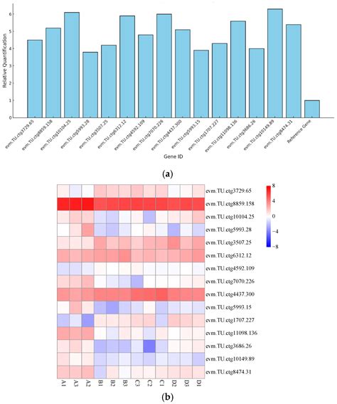 Widely Targeted Metabolomics and Transcriptomics Analysis of the ...