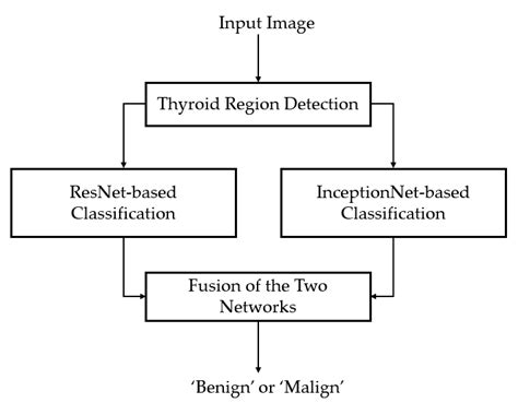 Deep Learning Model Simple Flow Chart 的图像结果