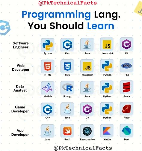 Programming Language 的图像结果