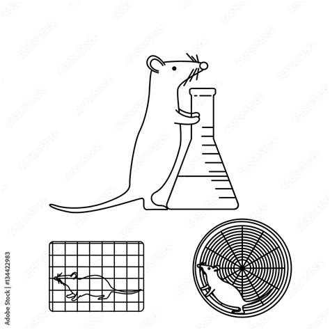 Mouse Model in Lab 的图像结果