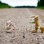 Image result for Bear and Bunny Holding Hands