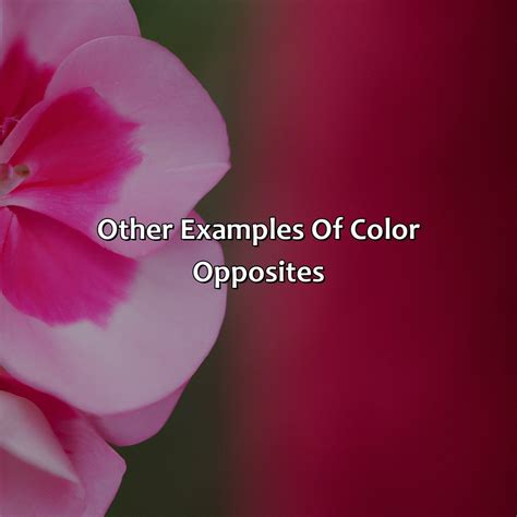 Color Opposites Generator at Nathan Lozano blog