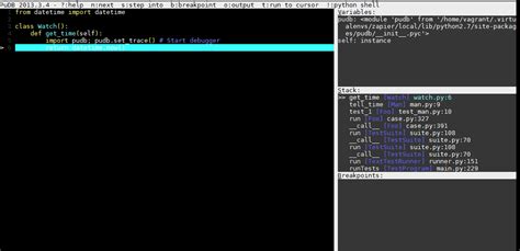 Image result for Debugging in Python Meaning