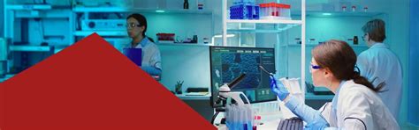 B.Sc. (Hons) in Medical Laboratory Technology - Adypu