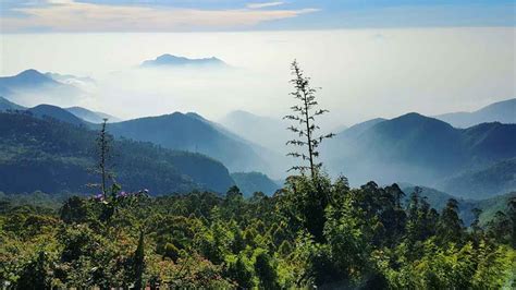 Kodaikanal honeymoon package | Kodaikanal honeymoon tours | Honeymoon ...