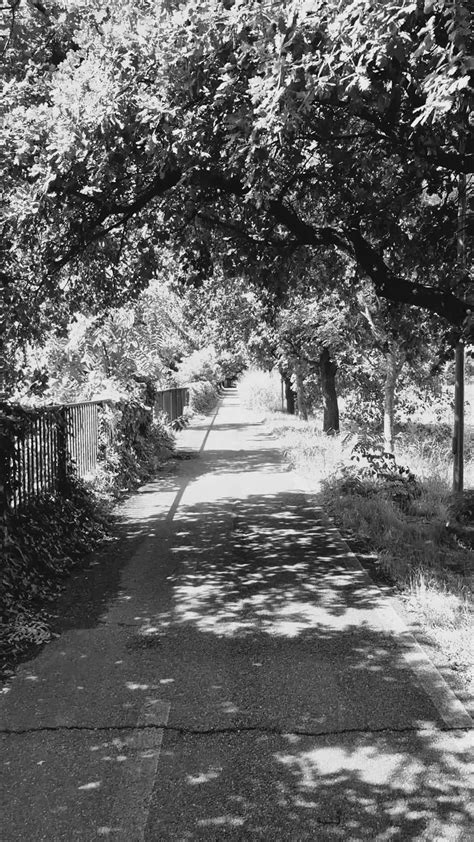 Thick+Black+Stepmom Videos, Download The BEST Free 4k Stock Video ...