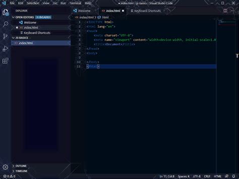 Image result for vs Code IDE Visual Bug