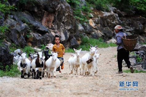 放羊娃的苦乐暑假 留守儿童的童年[4]- 中国在线