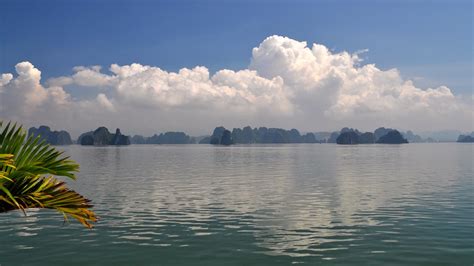 Image result for Prompt Questions Examples