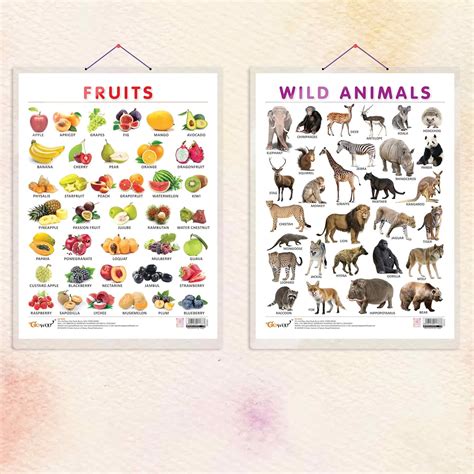 GO WOO FRUITS CHART HARD LAMINATED and WILD ANIMALS CHART HARD ...