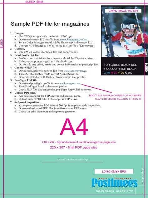 Image result for PDF Tremplate Examples