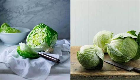 5 Advantages of Eating Cabbage for Health - lifeberrys.com