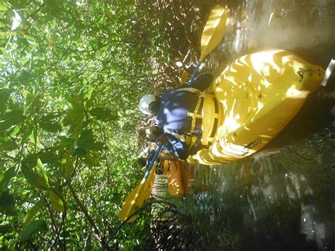 ISLAND KAYAKING ADVENTURE (2026) All You Need to Know BEFORE You Go ...