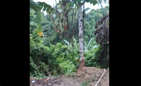 मणिपुर के जिरीबाम में संदिग्ध कुकी विद्रोहियों ने पुलिस स्टेशन पर किया ...