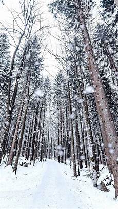 Lock Screen Cozy Winter Iphone Wallpaper by 20 Snow White Nature Wallpaper Hd Phone Backgrounds Lock Screen Cozy Winter Iphone Wallpaper