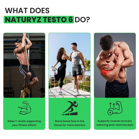 Buy NATURYZ TESTO-6 PLANT BASED SUPPLEMENT FOR MEN WITH TRIBULUS, SAFED ...
