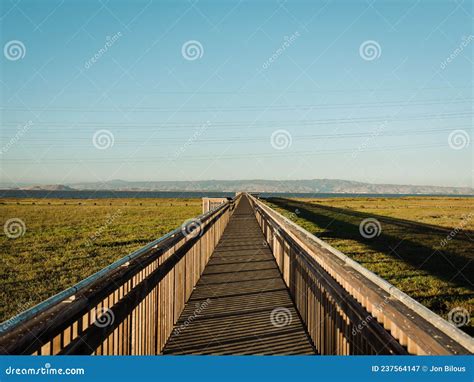 Marsh Boardwalk Trail at Baylands Nature Preserve, in Palo Alto ...