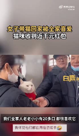 团宠猫咪！女子带猫回家过年猫收到千元红包_腾讯新闻