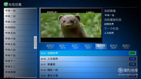 CCTV2正点财经广告投放，塑造品牌高度和形象 - 品牌推广网
