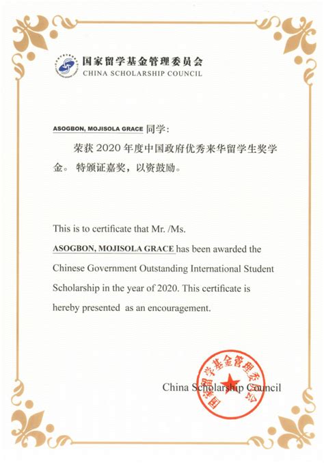 我院外教丹尼斯喜获2018年度中国政府优秀来华留学生奖金-经济贸易学院