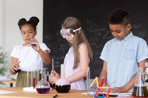 7th Grade Science Projects 的图像结果