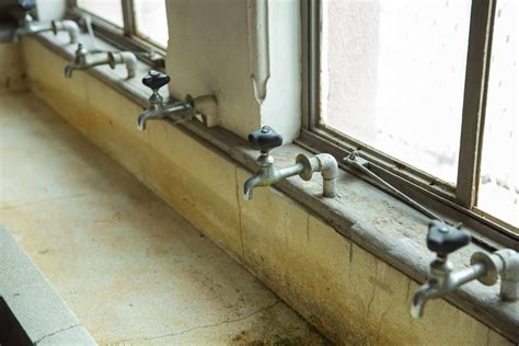 What You Need to Know About the Dangers of Mold in the House