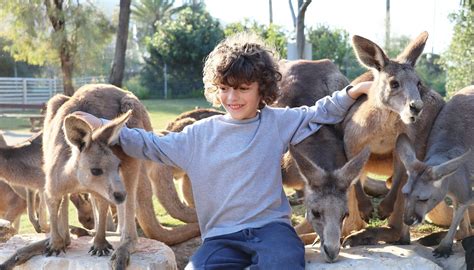 GAN GAROO ZOO - All You Need to Know BEFORE You Go 2026 (with Photos ...