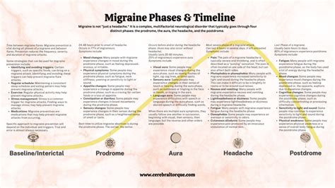 Migraine Phases & Timeline – Cerebral Torque