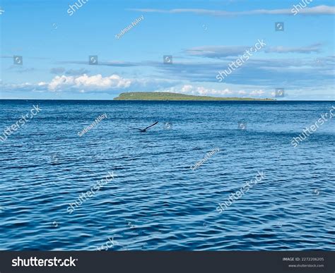 7 71 Earth Covered Water Images, Stock Photos & Vectors | Shutterstock