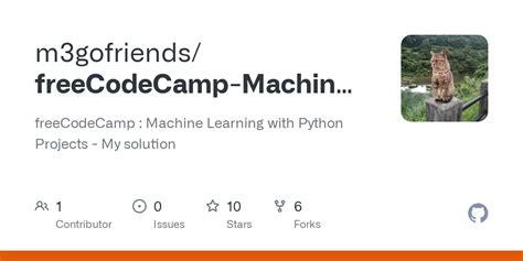 15 Projects in Python Freecodecamp 的图像结果