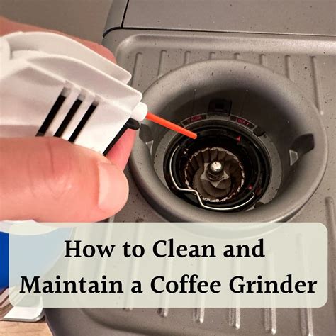How To Clean Old Coffee Grinder at Sandra Madrigal blog