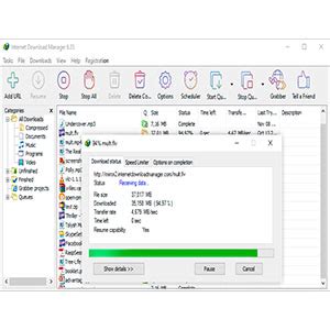 IDM | Internet Download Manager 100 licences | Lifetime License with ...