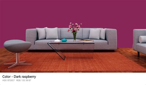 Image result for Dark Raspberry Color